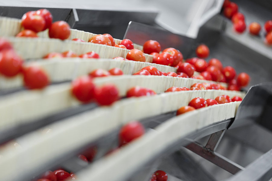 Settore agroalimentare, l’innovazione è d’obbligo