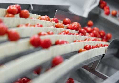 Settore agroalimentare, l’innovazione è d’obbligo
